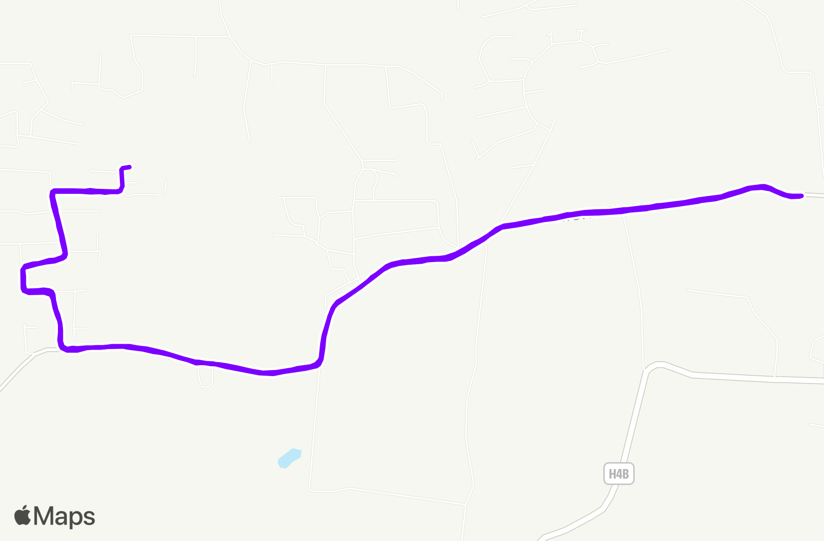 Run training