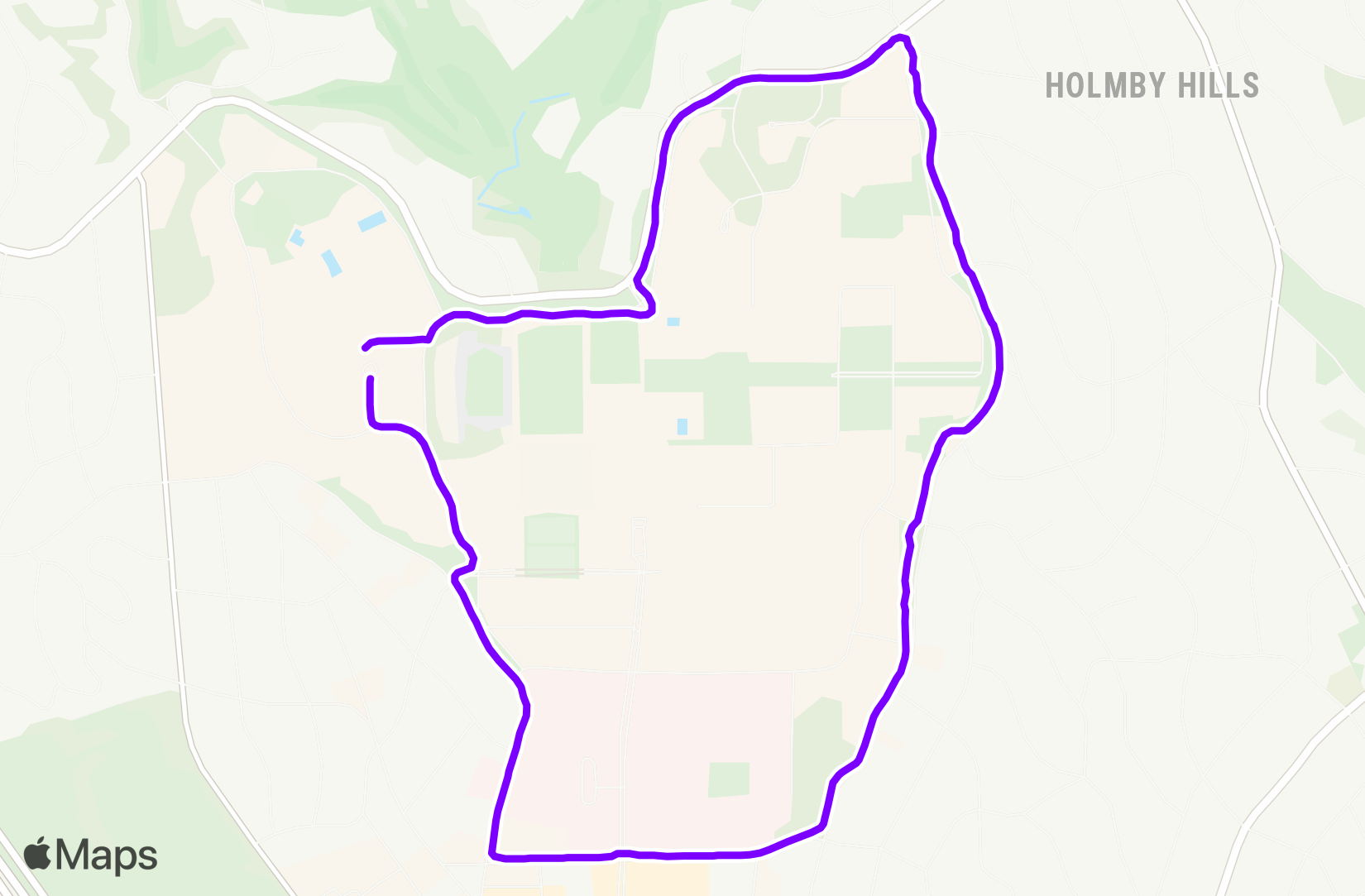Run training