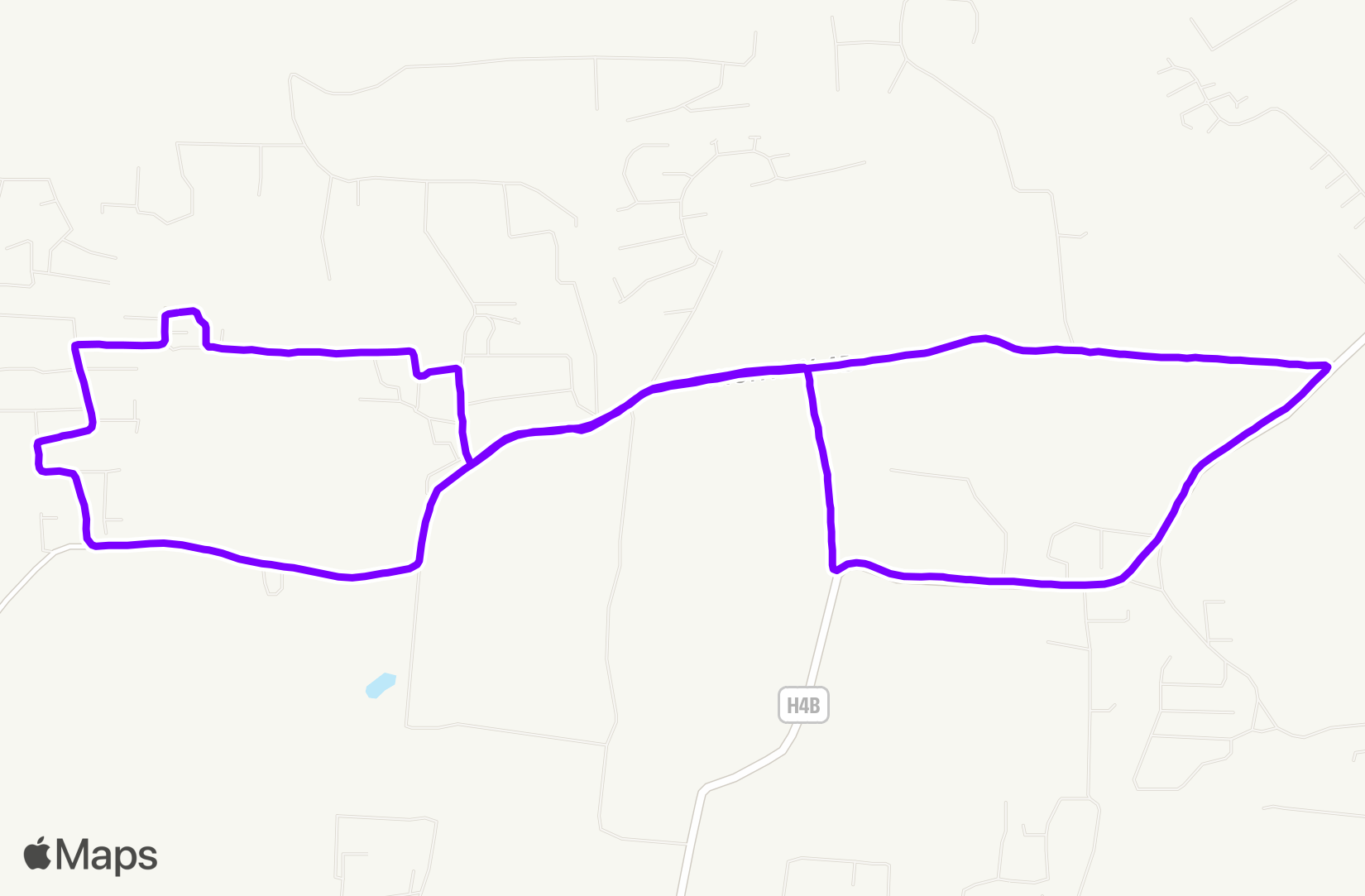 Run training