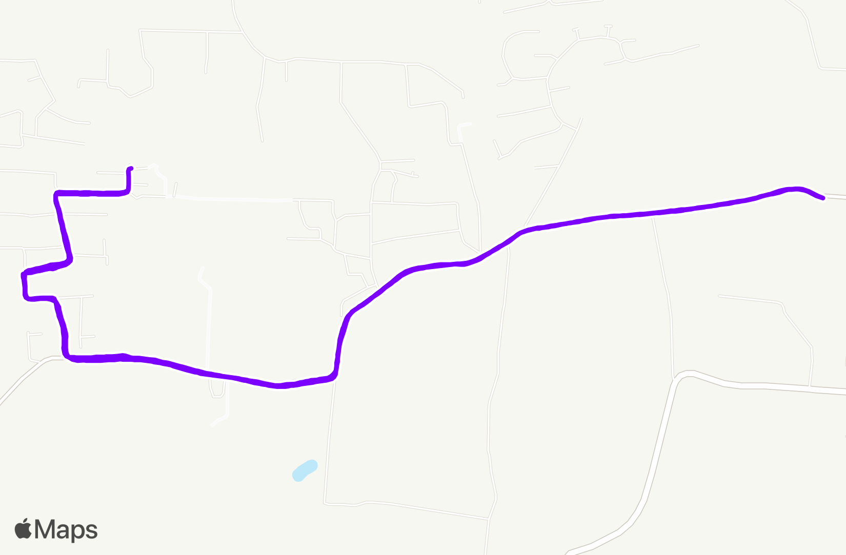 Run training