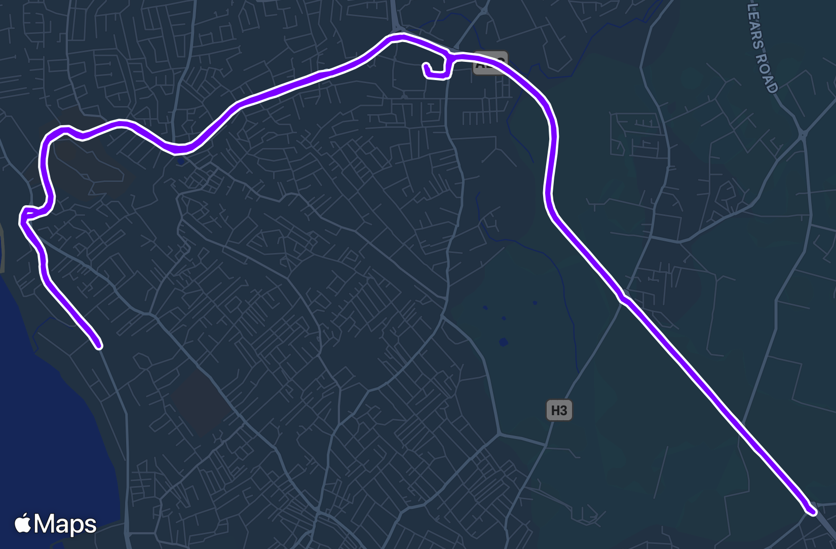 Run training