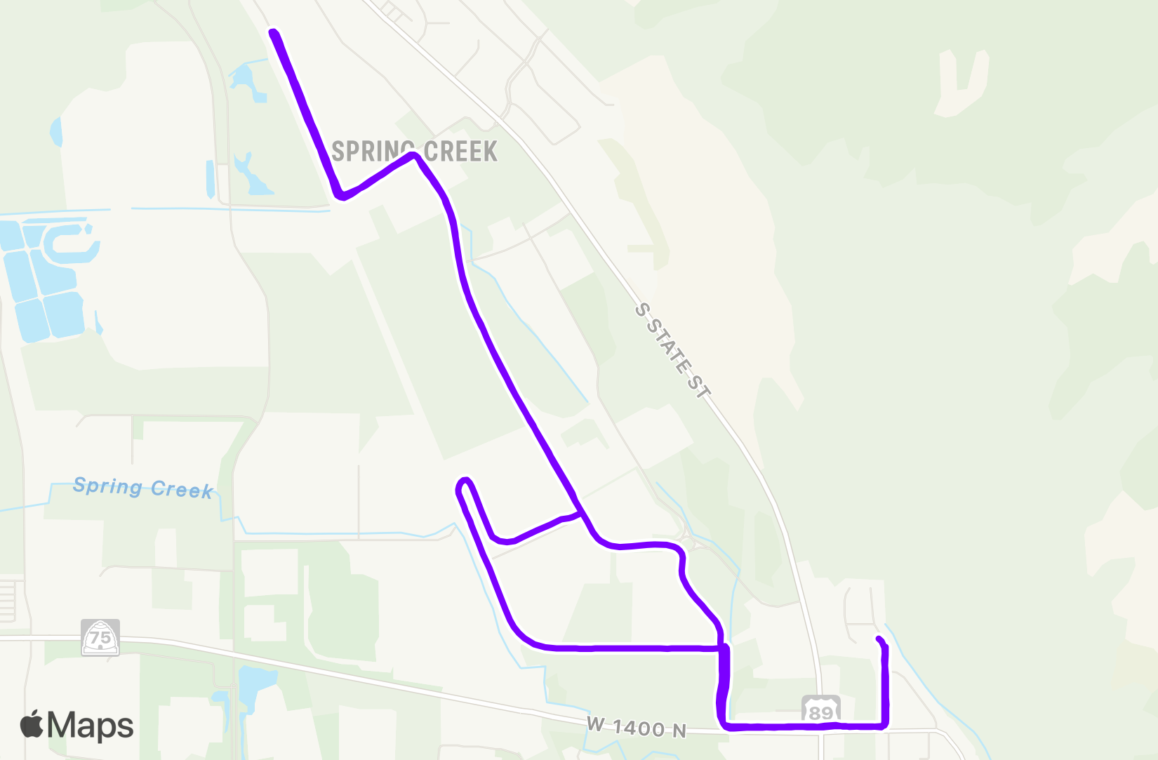 Run training