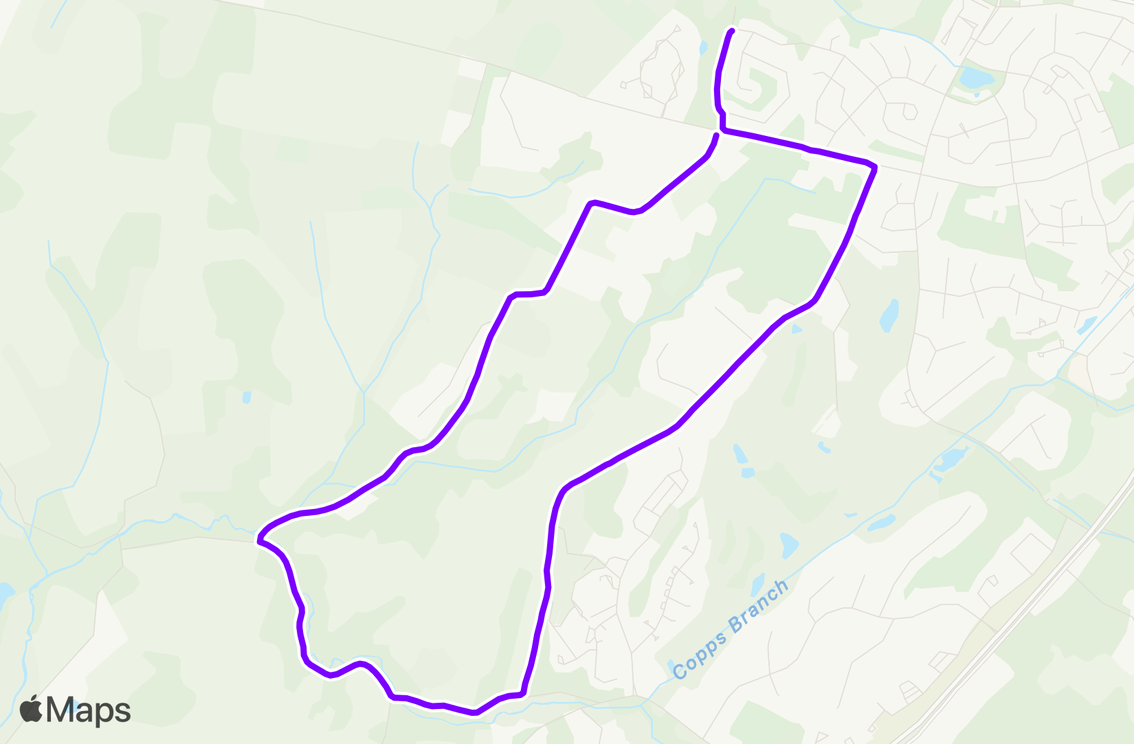 Run training