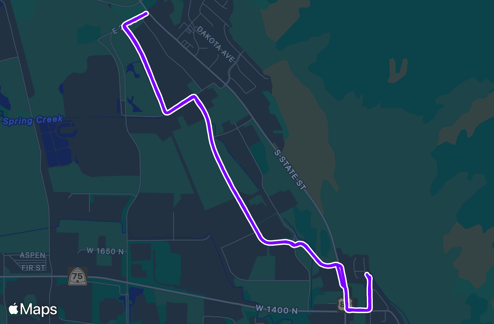 Run training