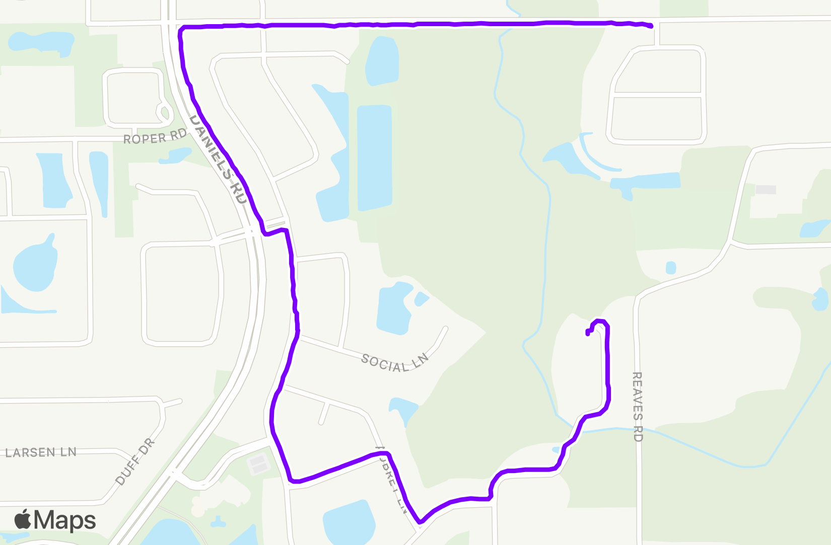 Walk training