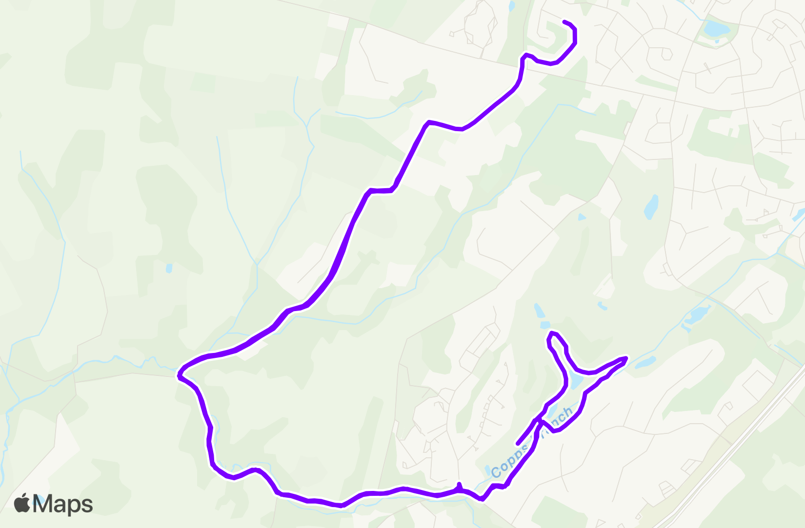 Run training