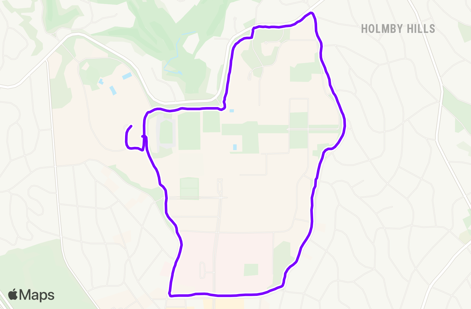 Run training