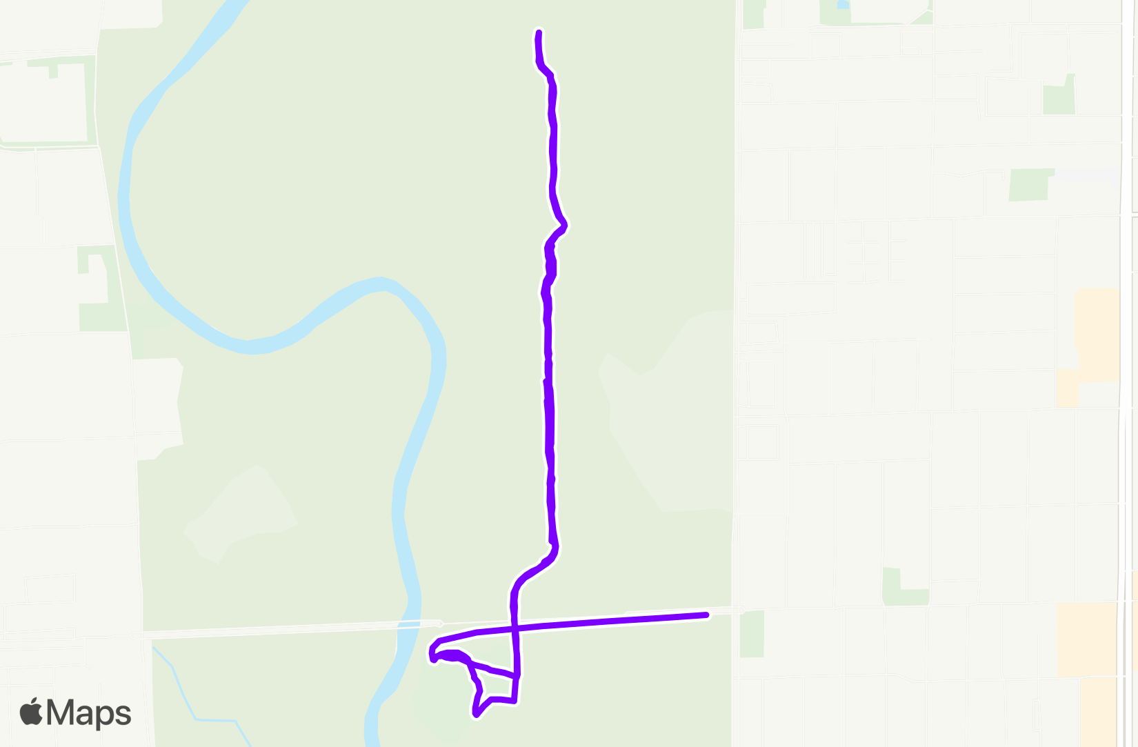 Walk training
