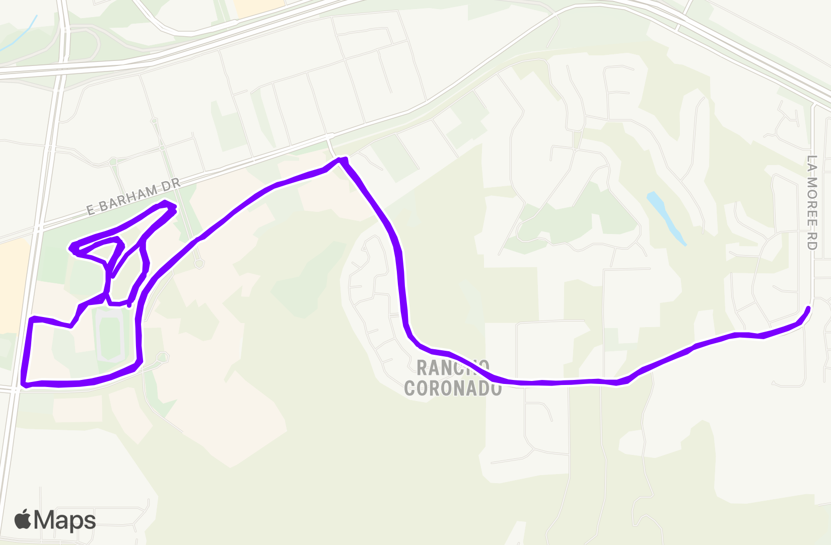 Run training