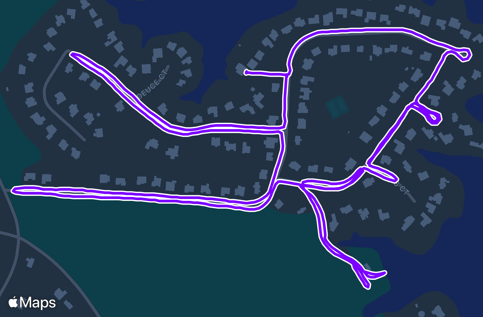 Run training