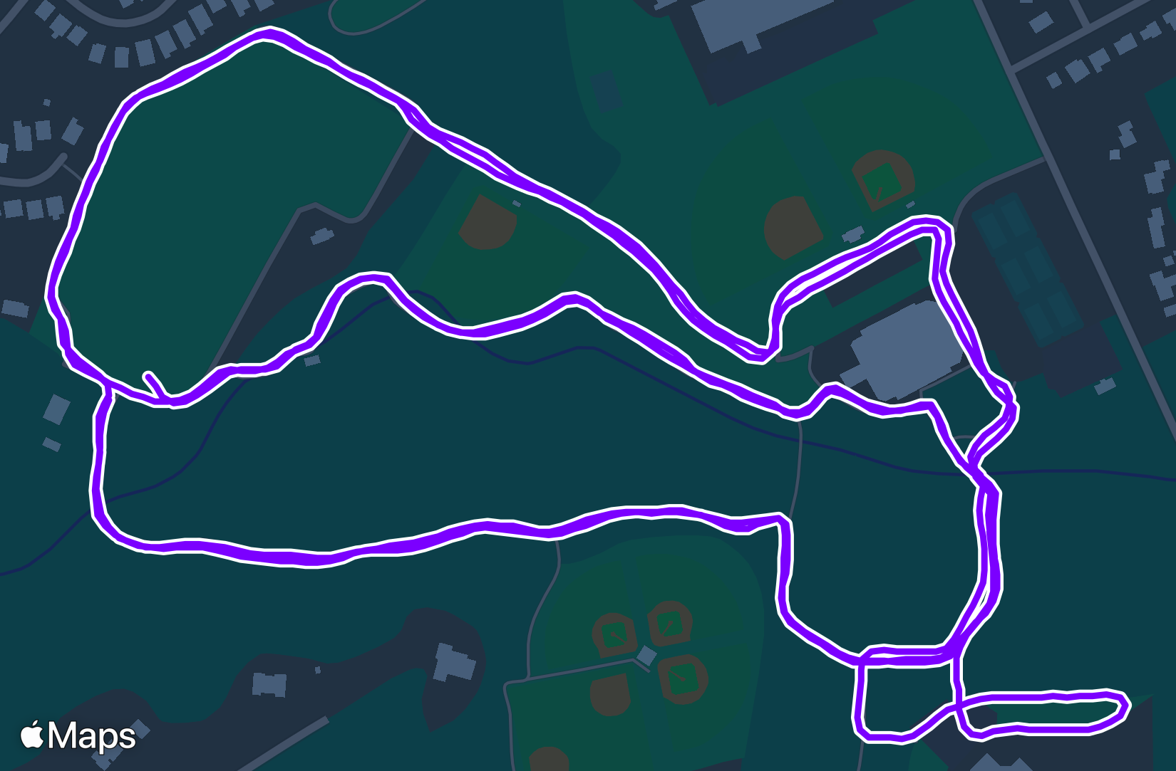 Run training