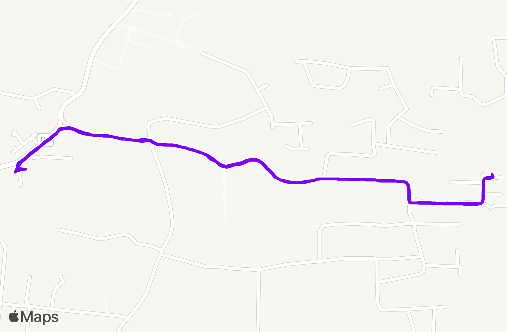 Walk training