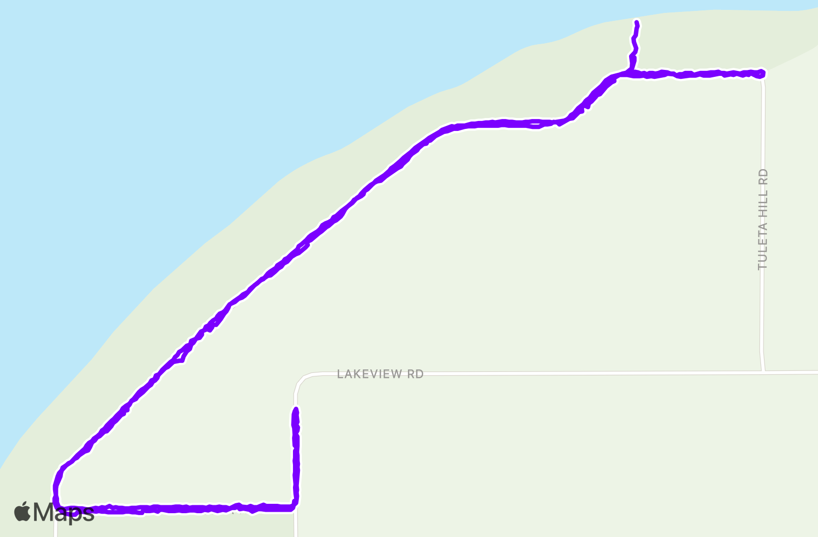 Run training