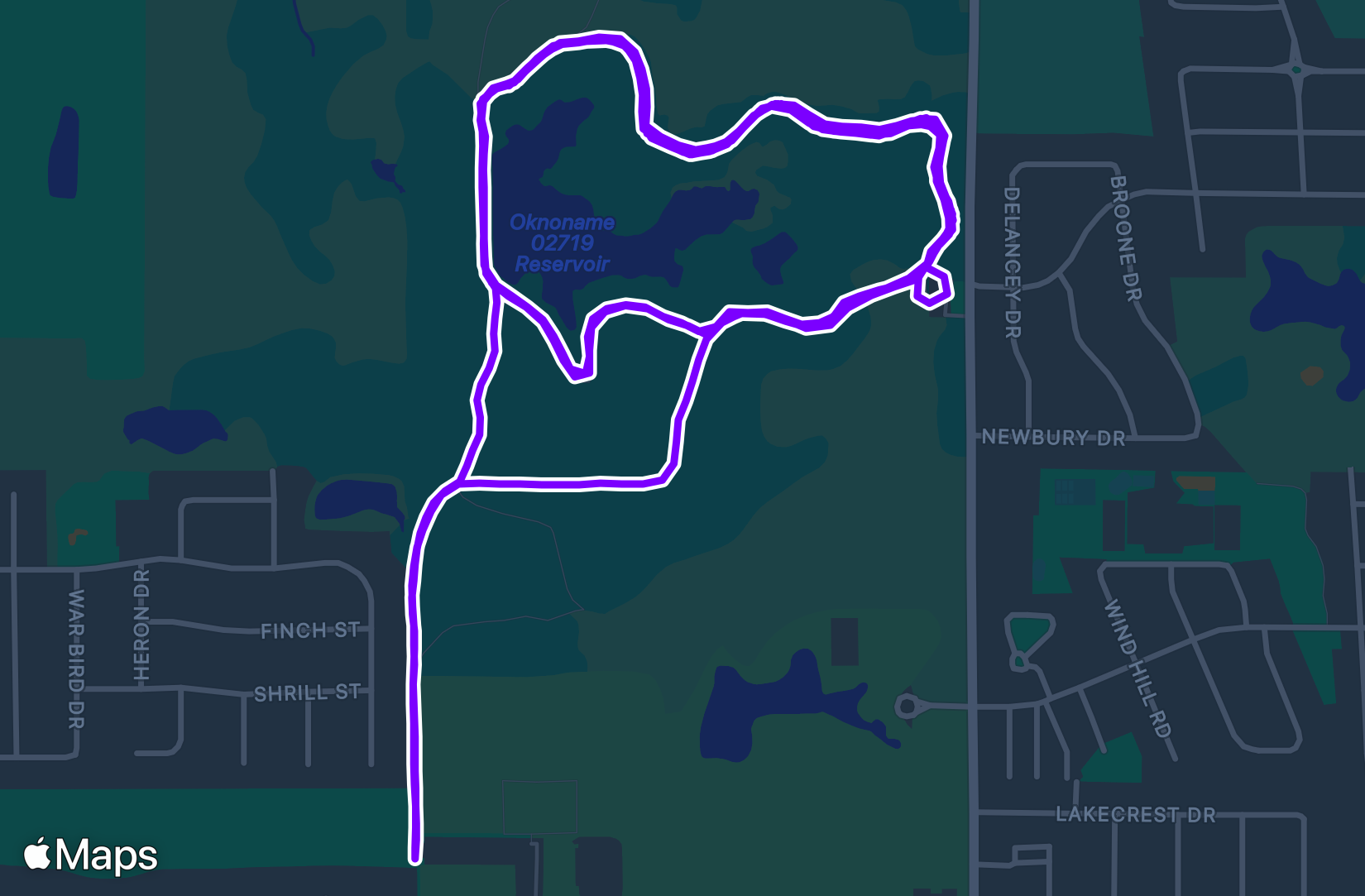 Run training