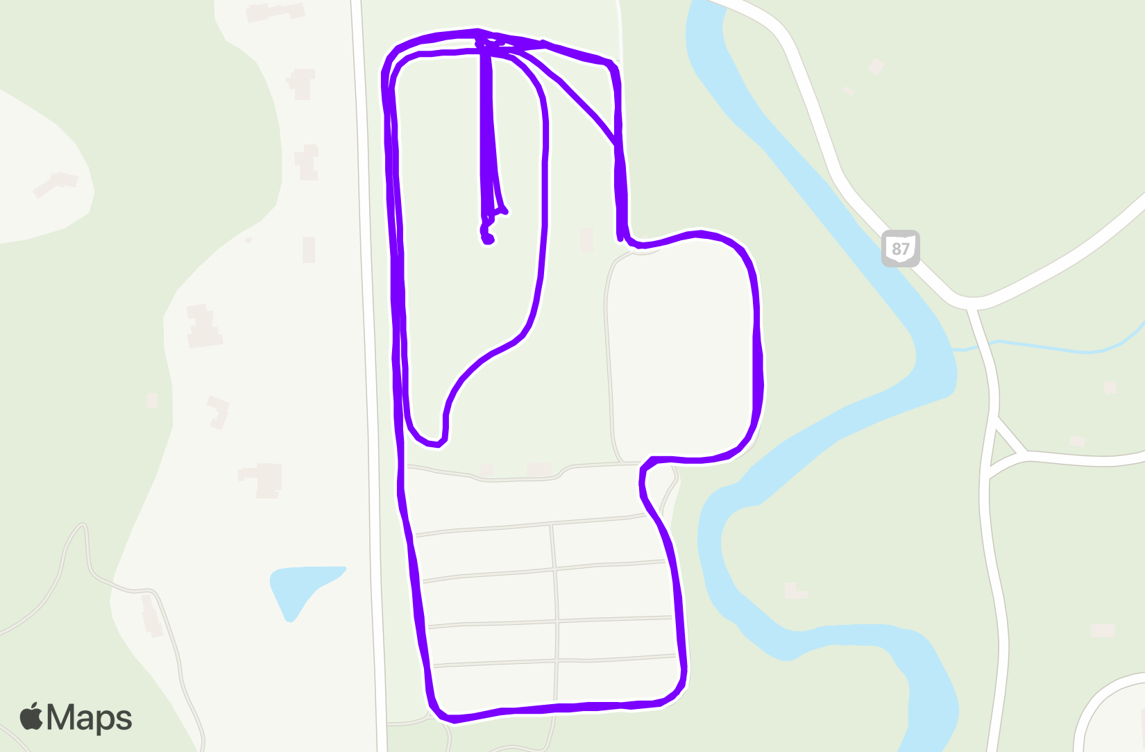 Run training