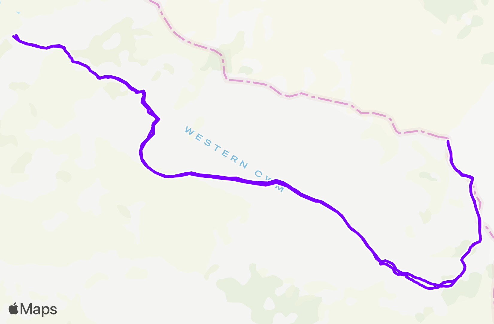 Run training