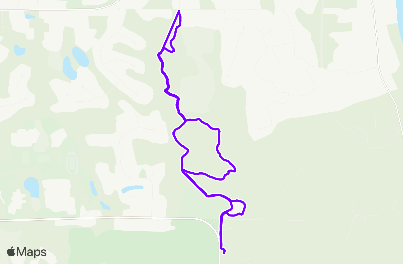 Run training