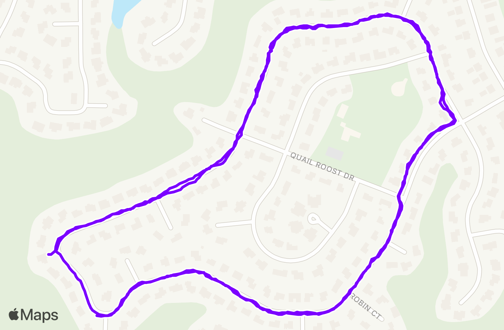 Run training