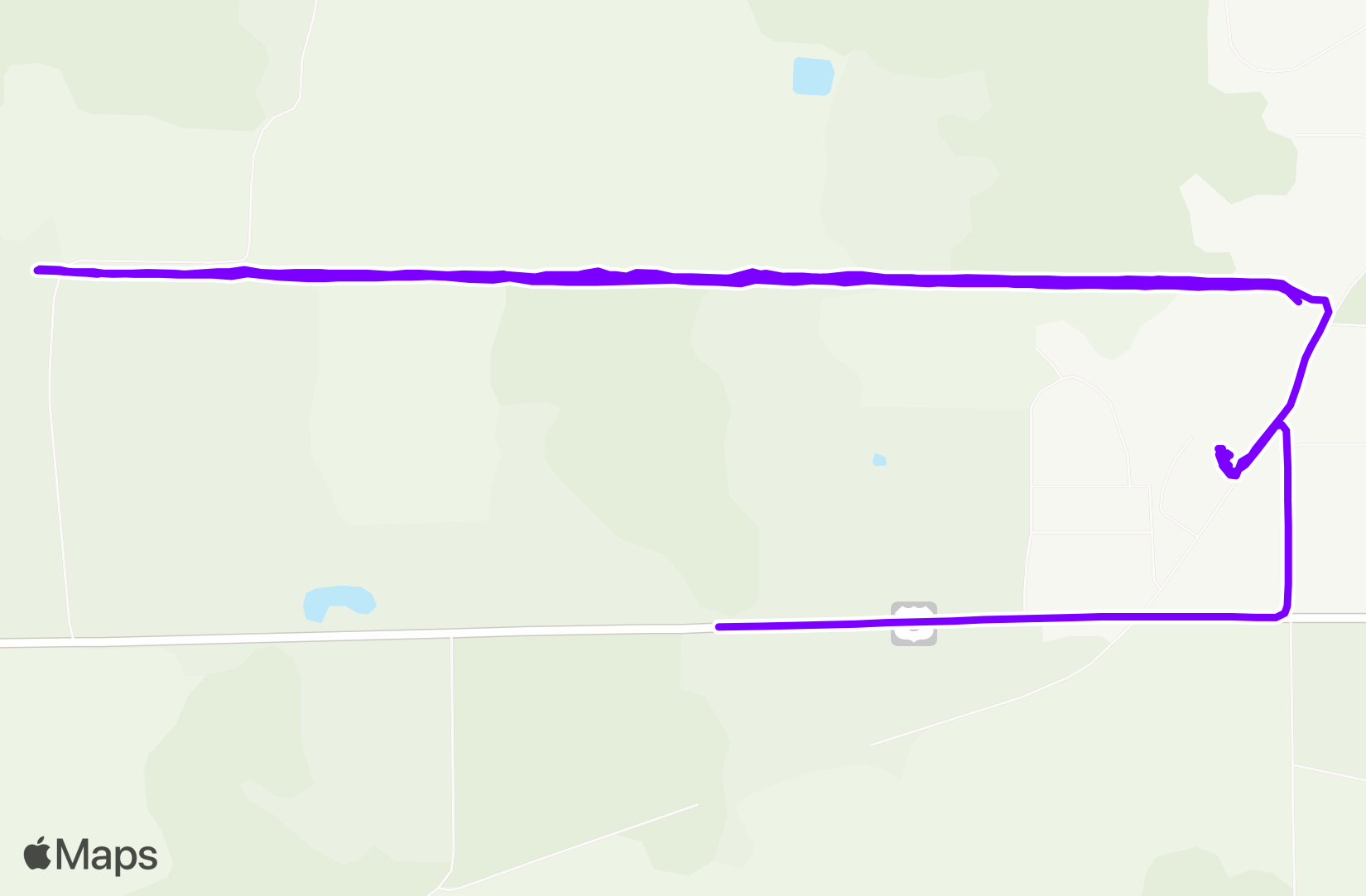 Run training