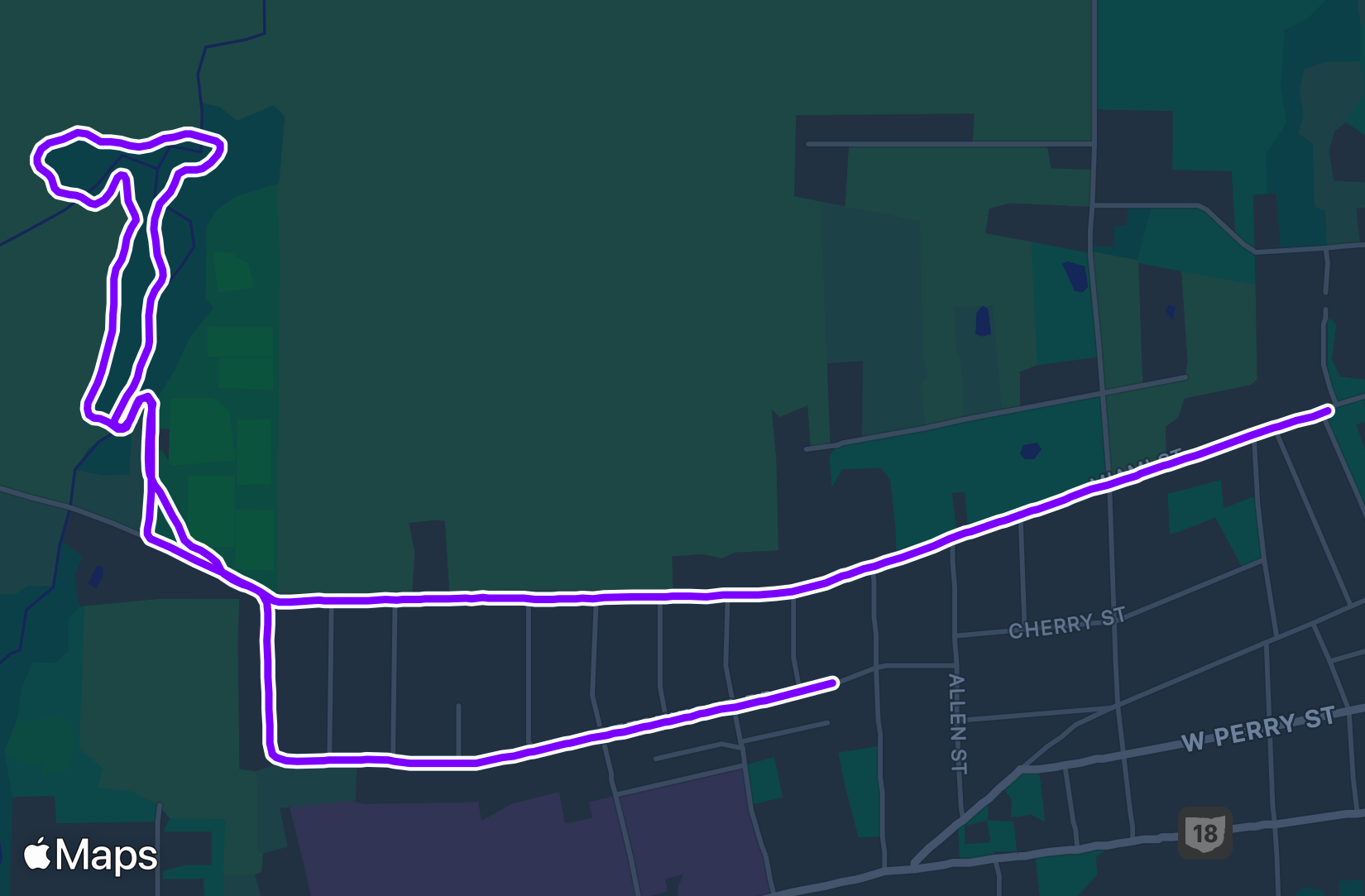 Run training