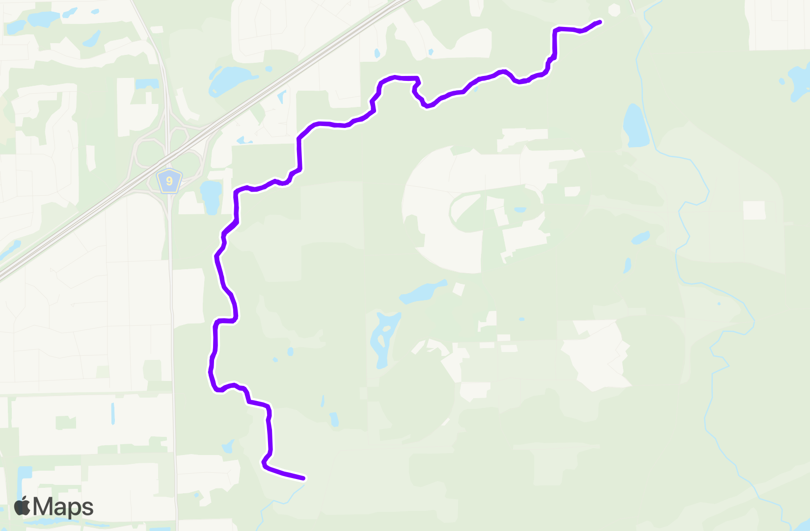 Run training