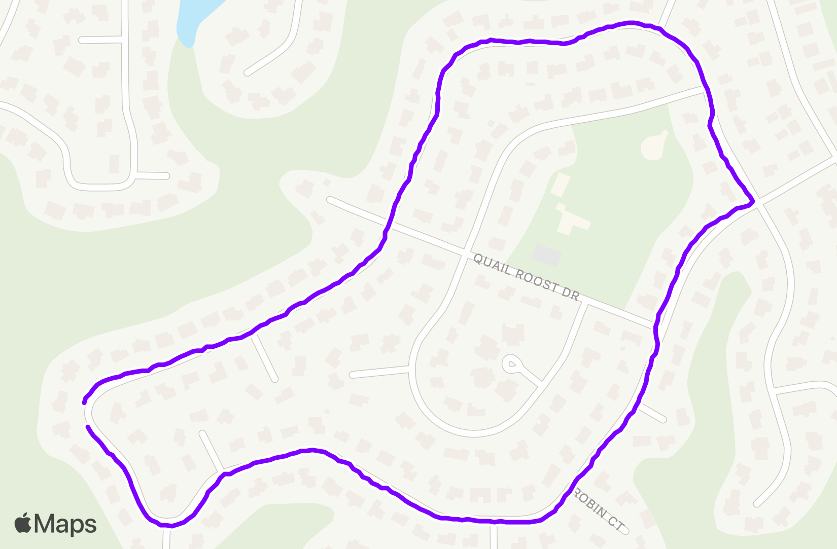 Run training