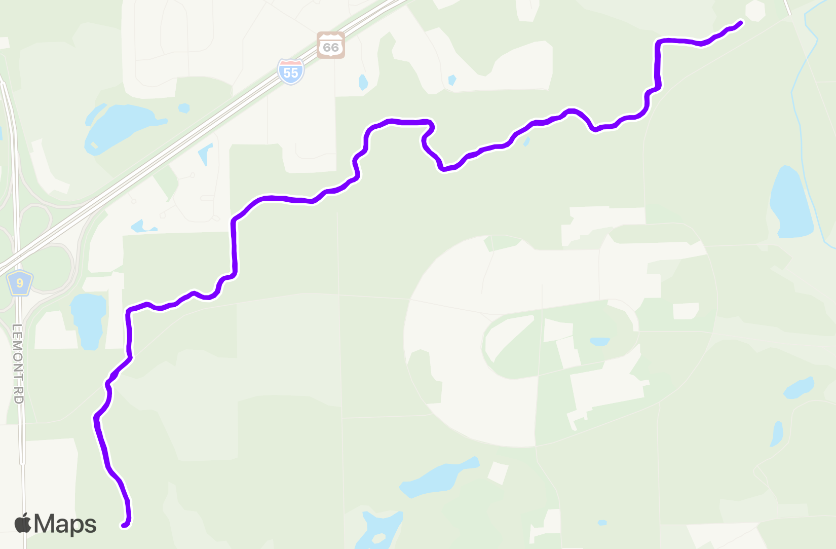 Run training