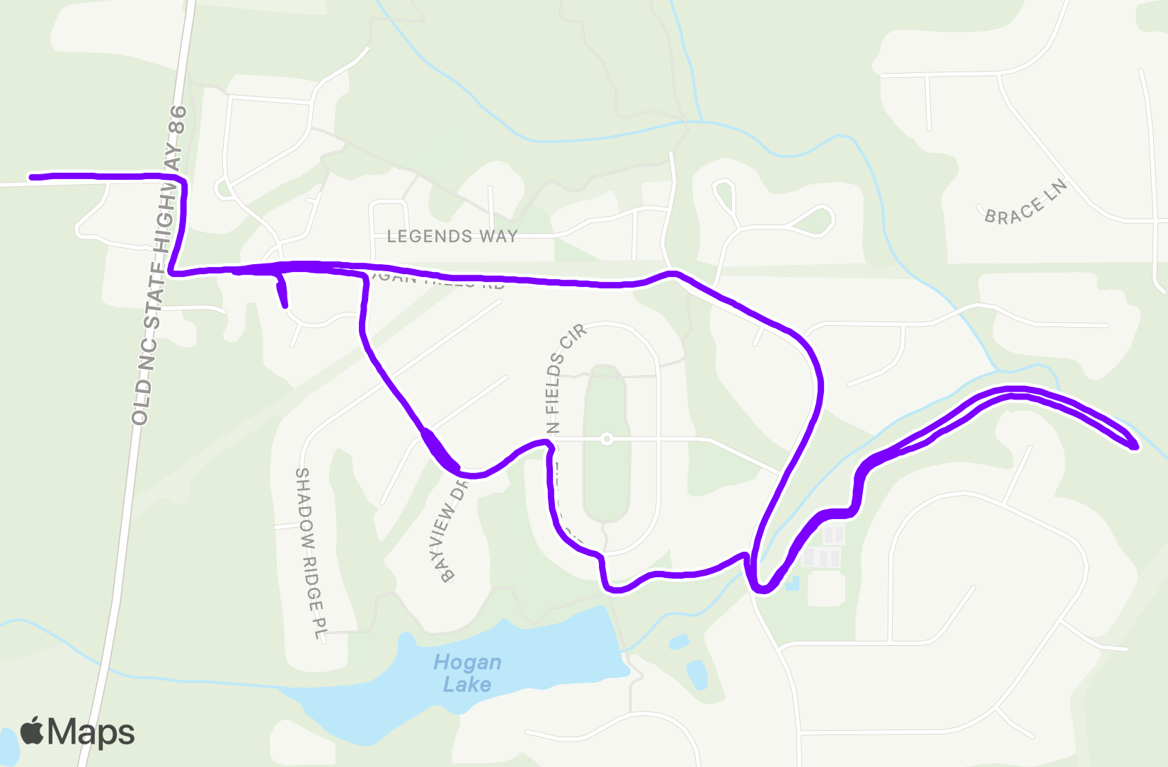 Run training