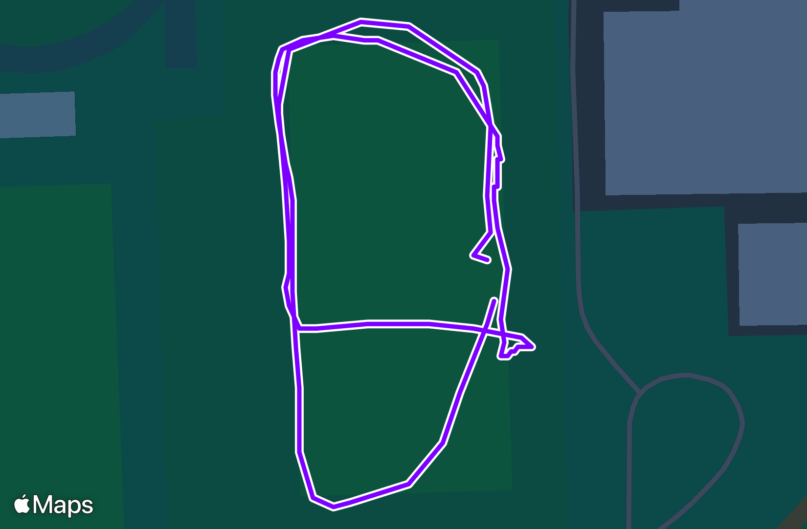 Walk training