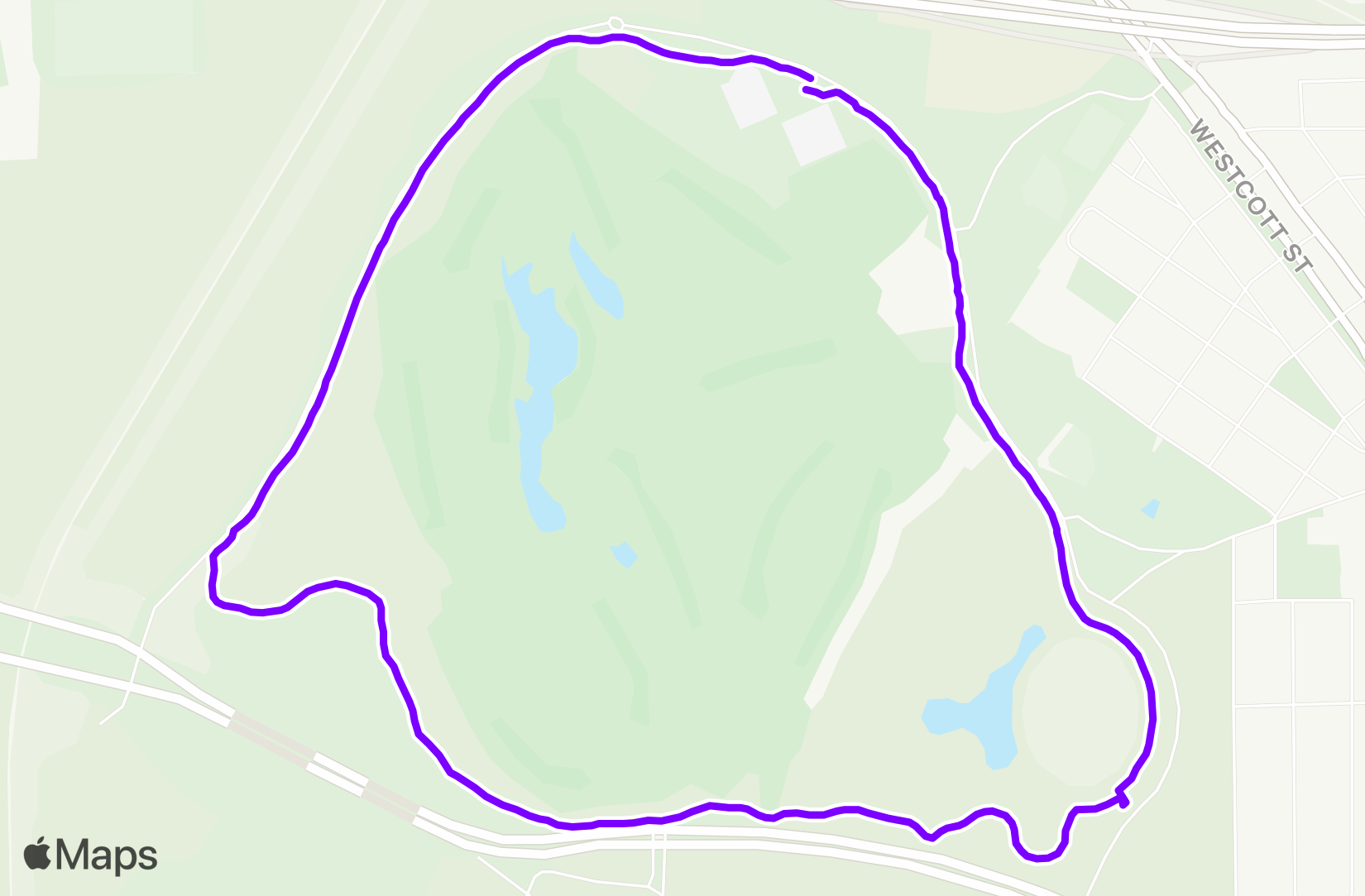 Run training