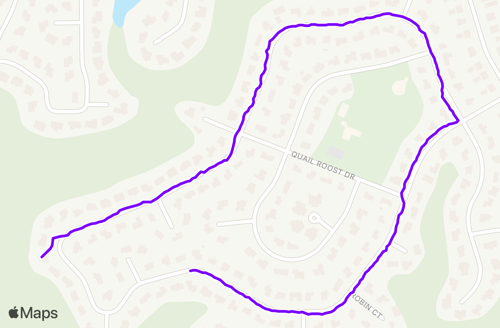 Run training