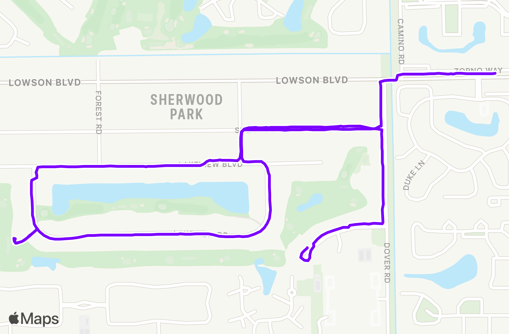Walk training