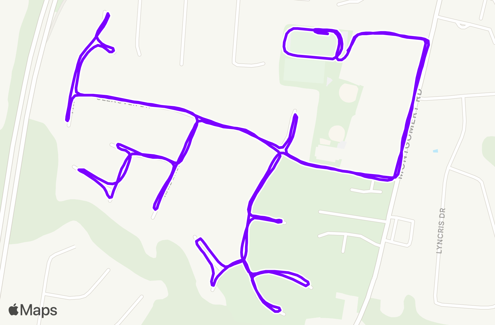 Run training