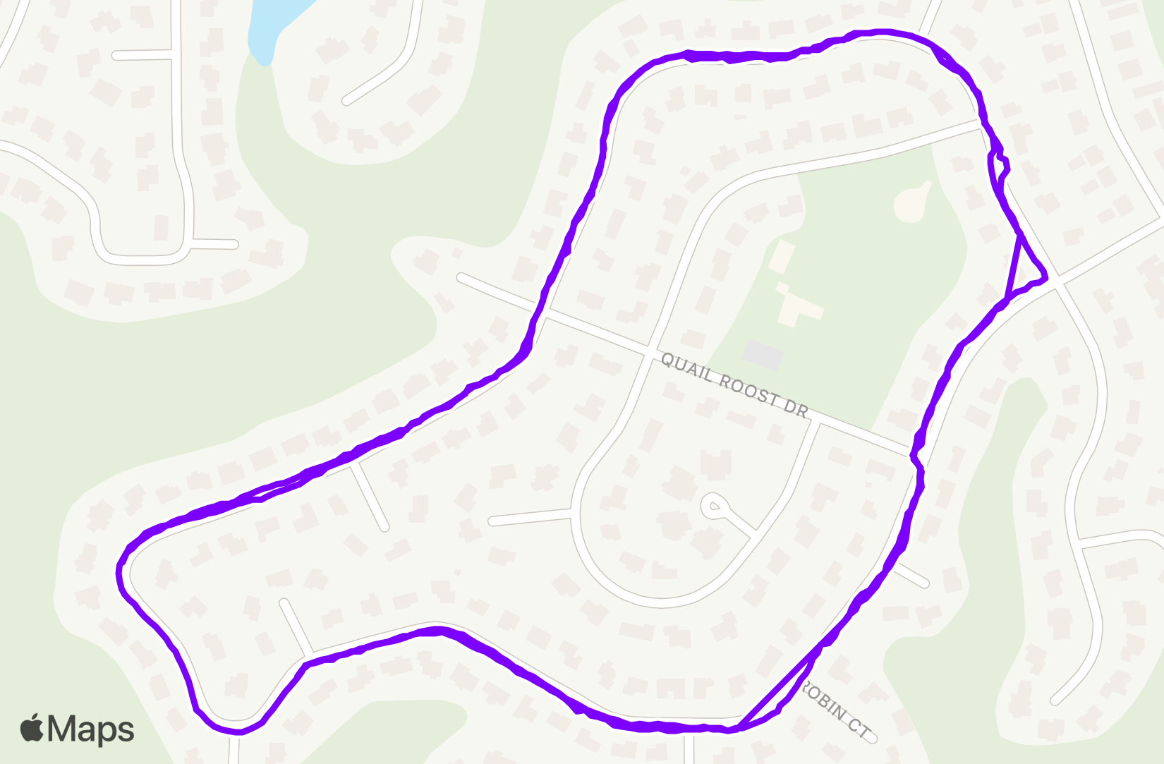 Run training