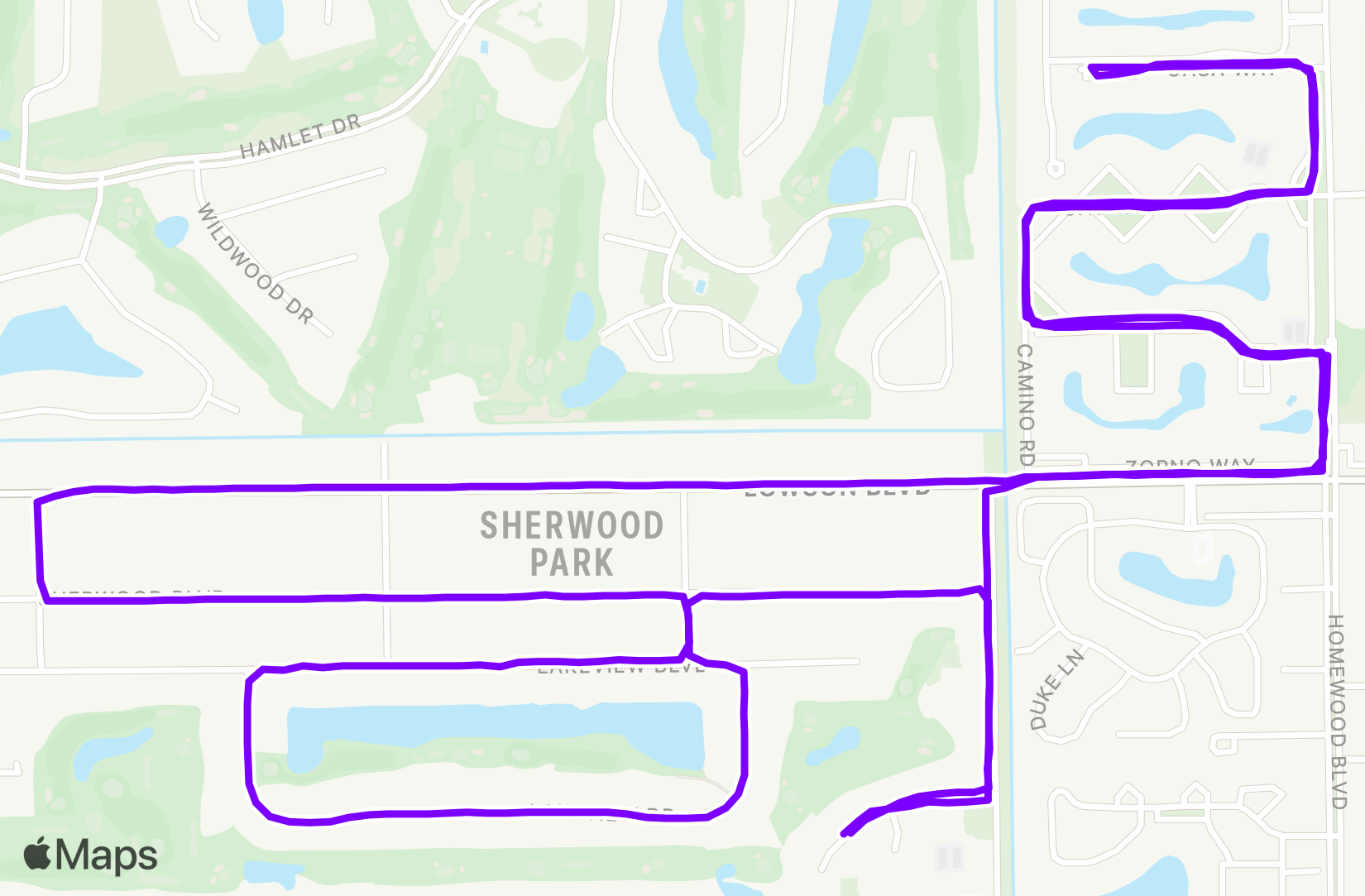 Run training