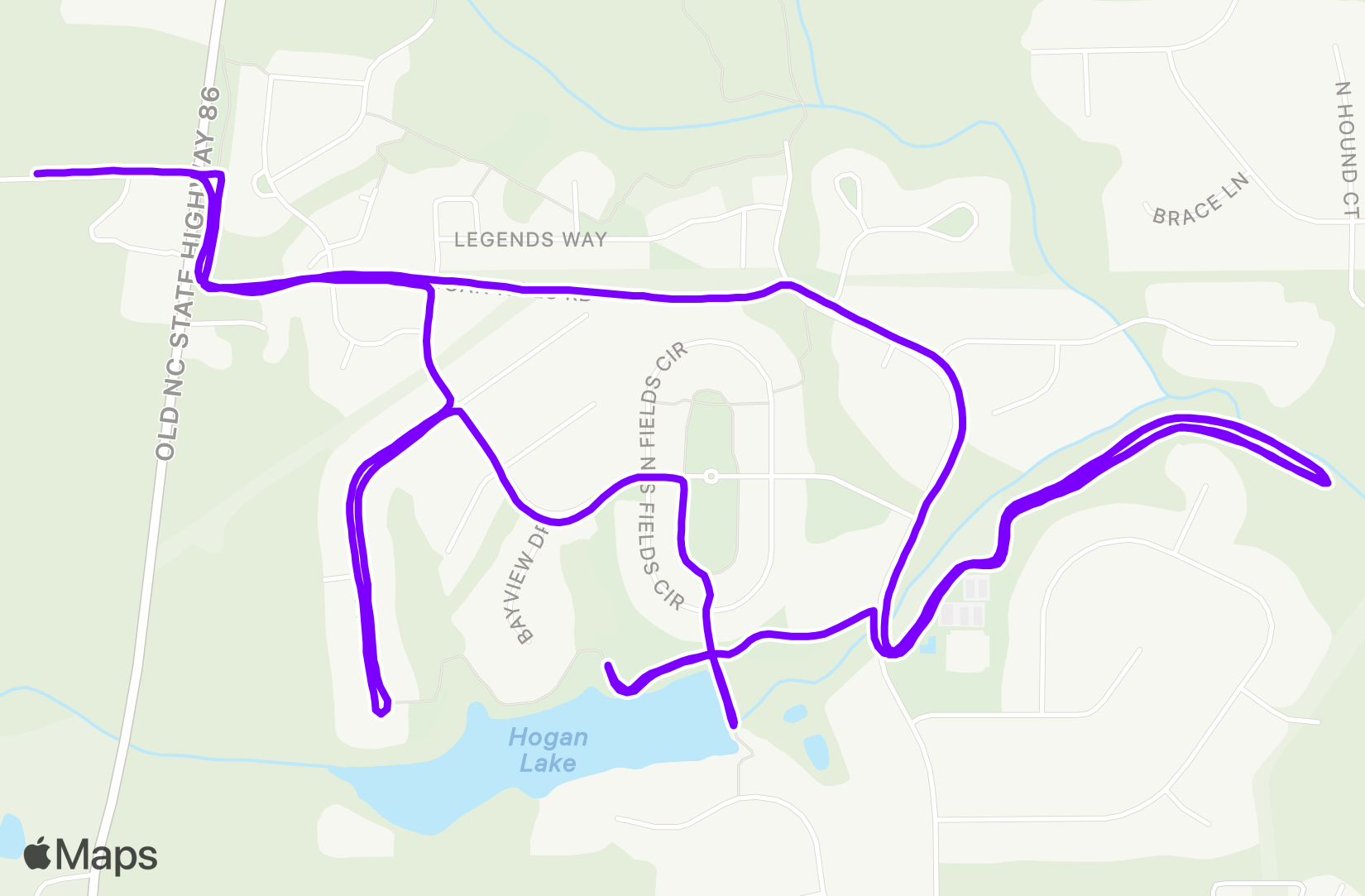 Run training