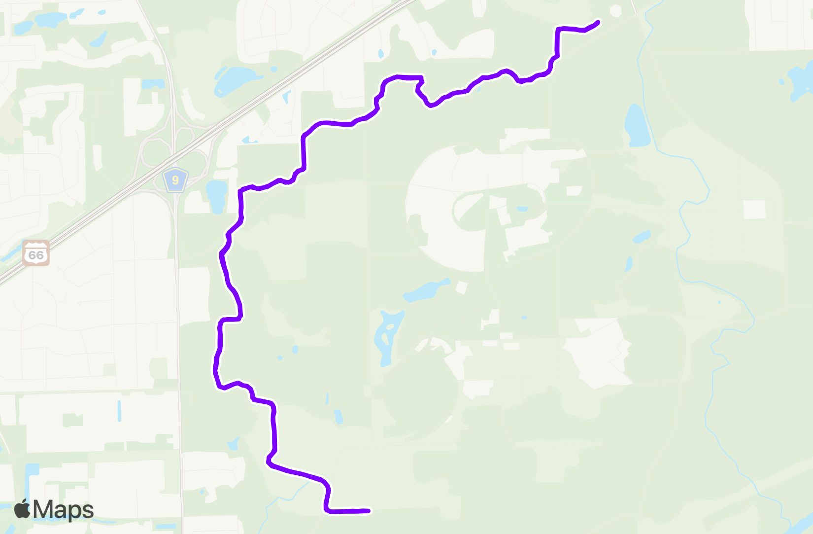 Run training