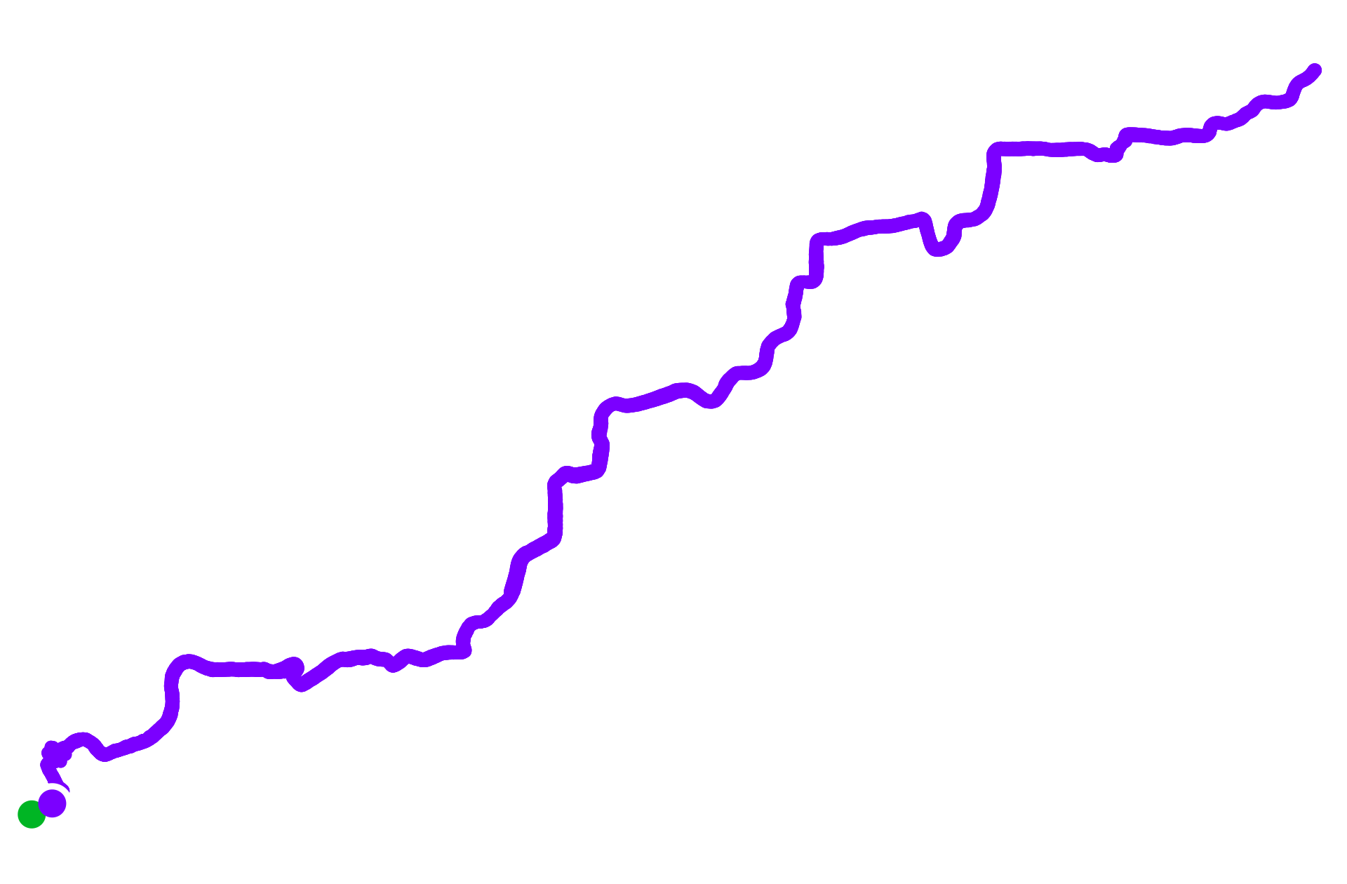 Run training