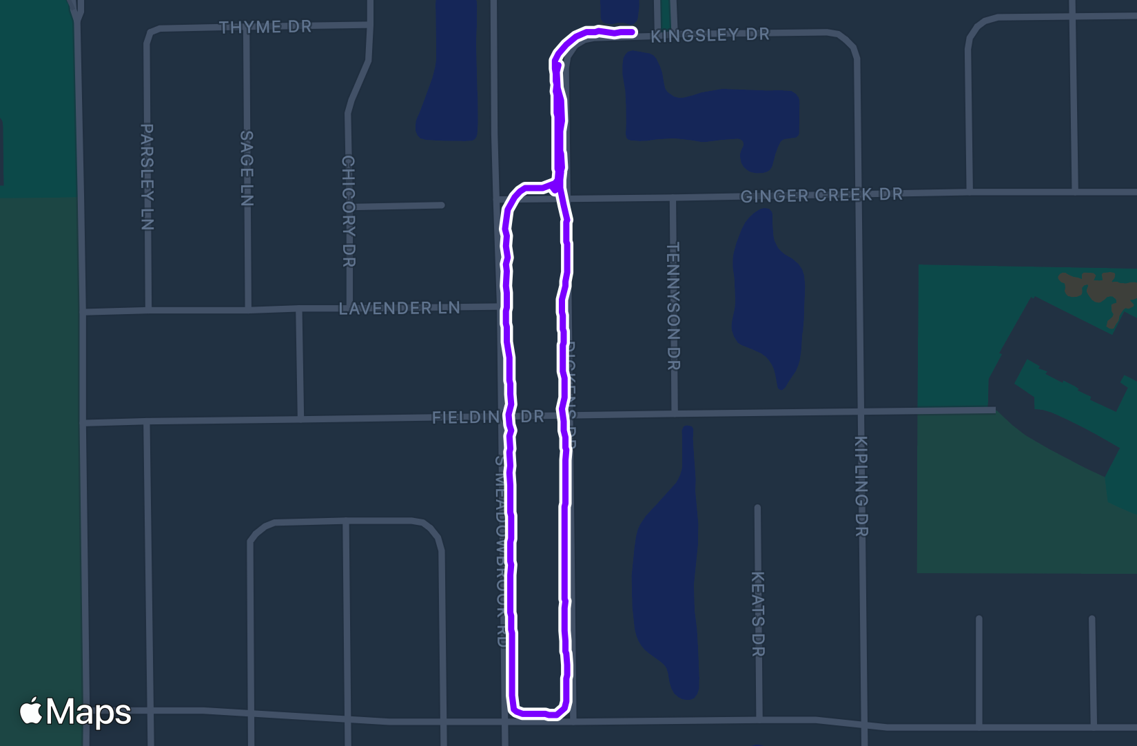 Run training