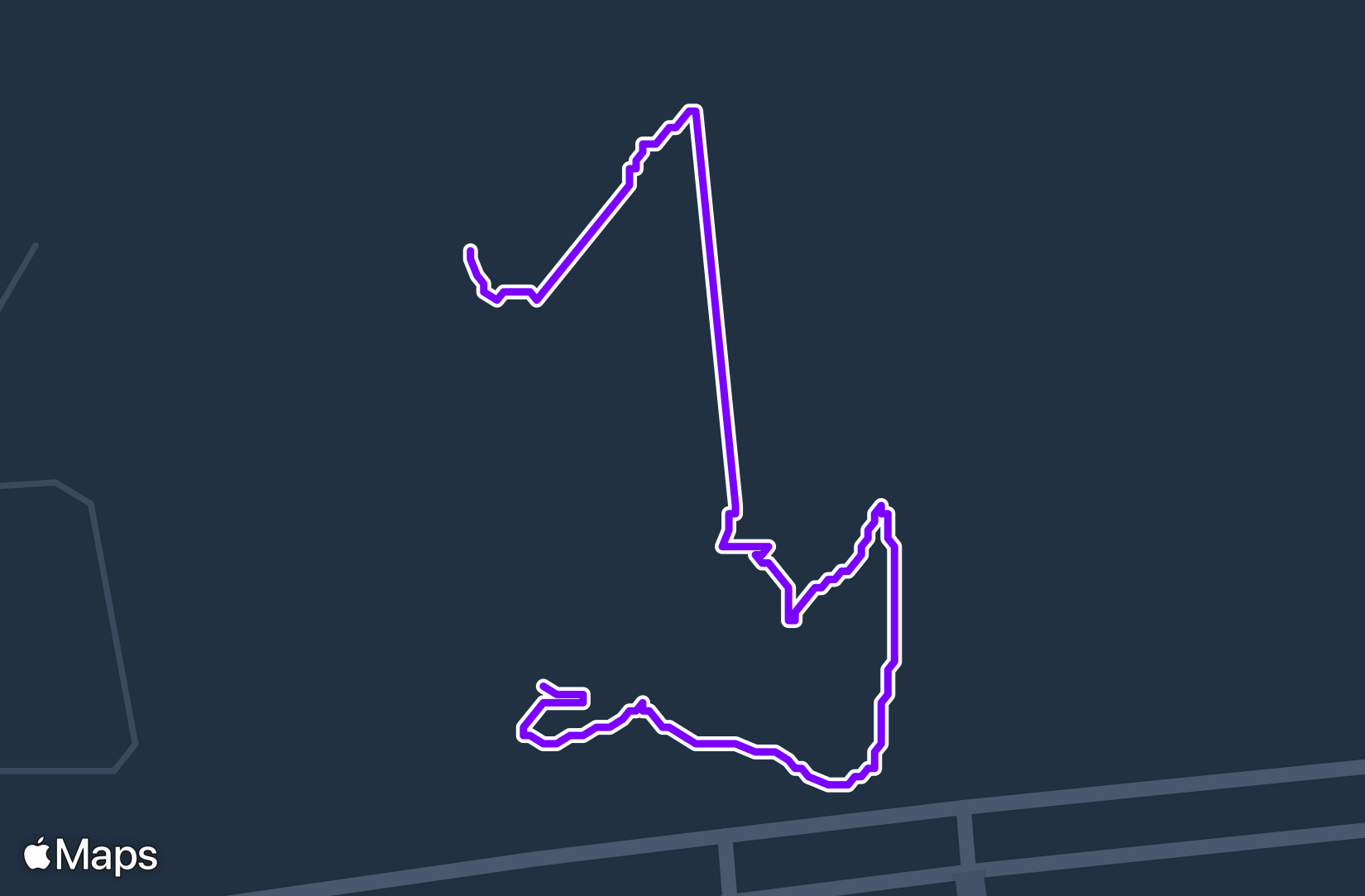 Walk training