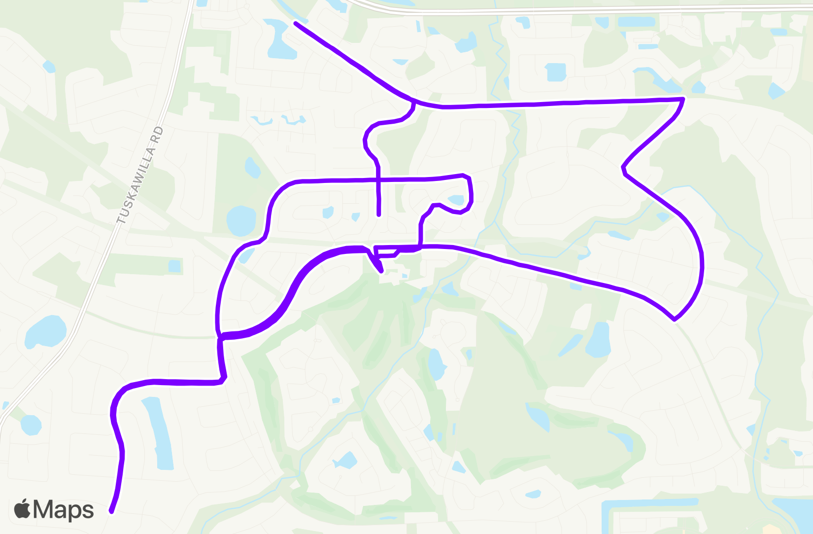 Run training