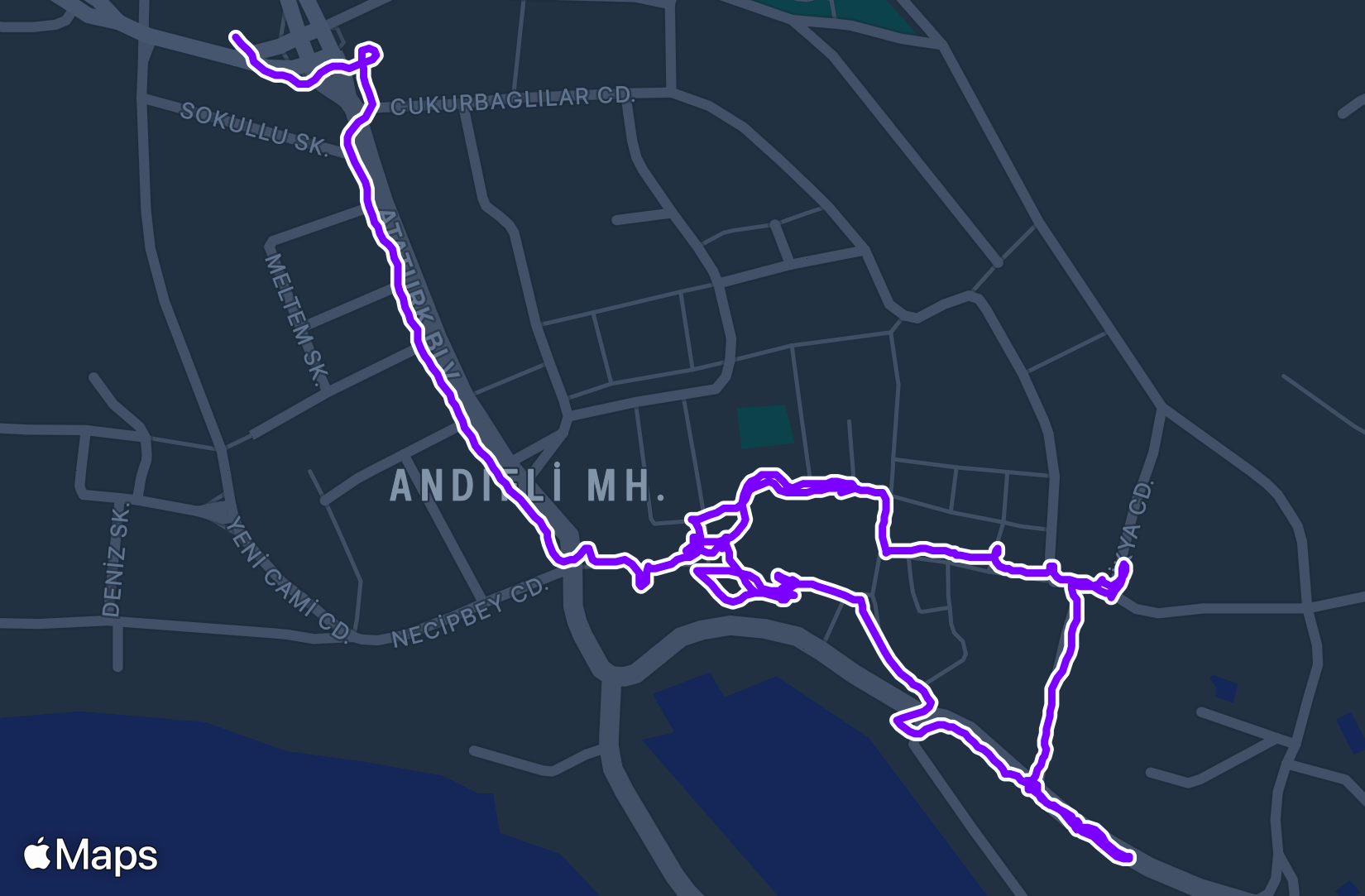 Walk training