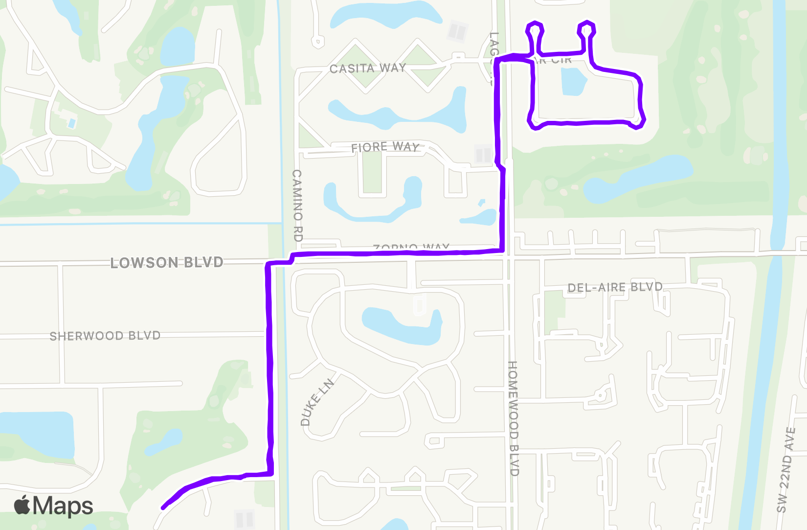 Walk training