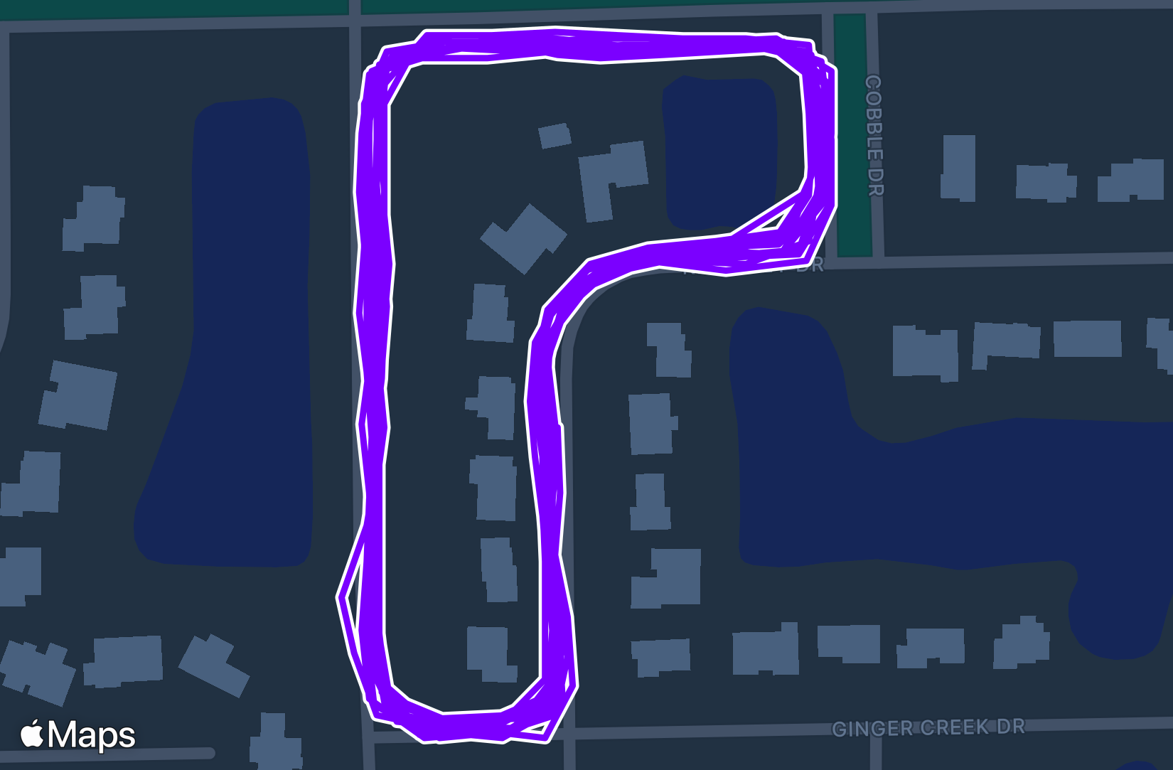 Run training