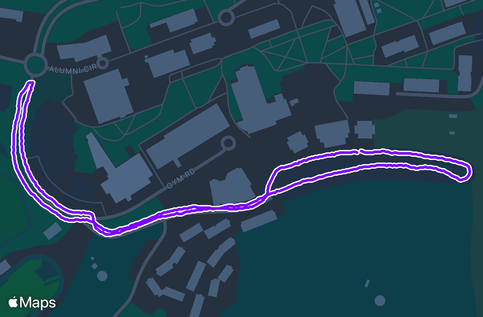 Run training