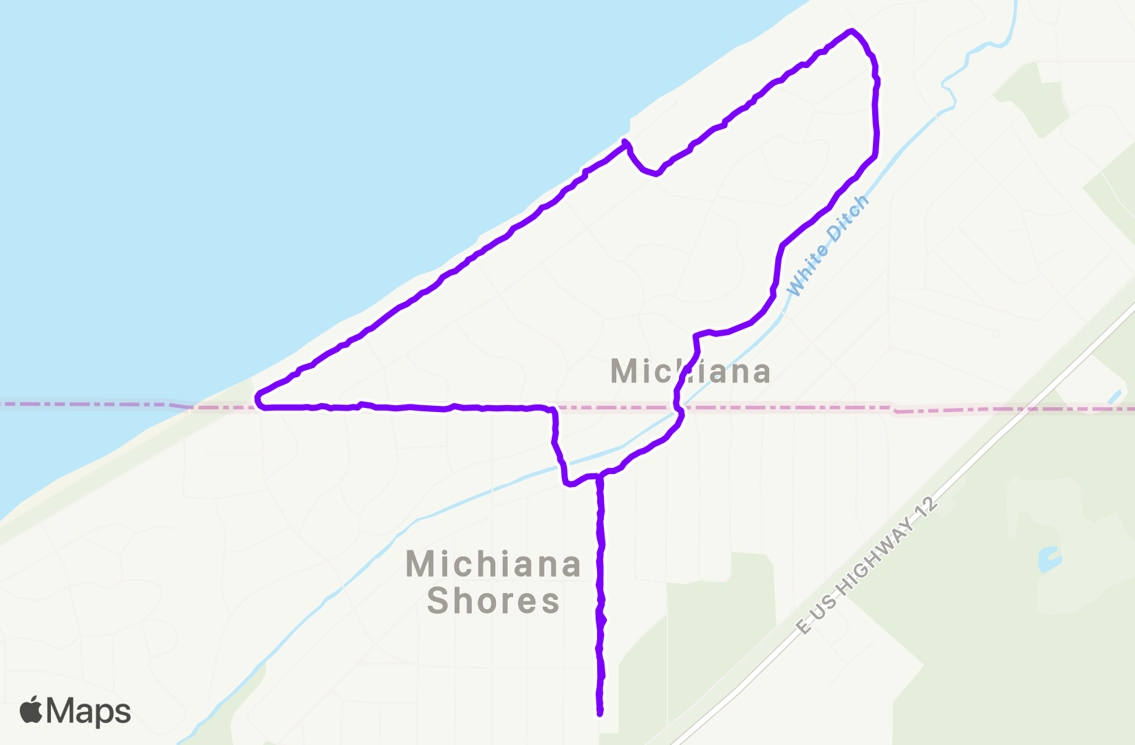 Walk training