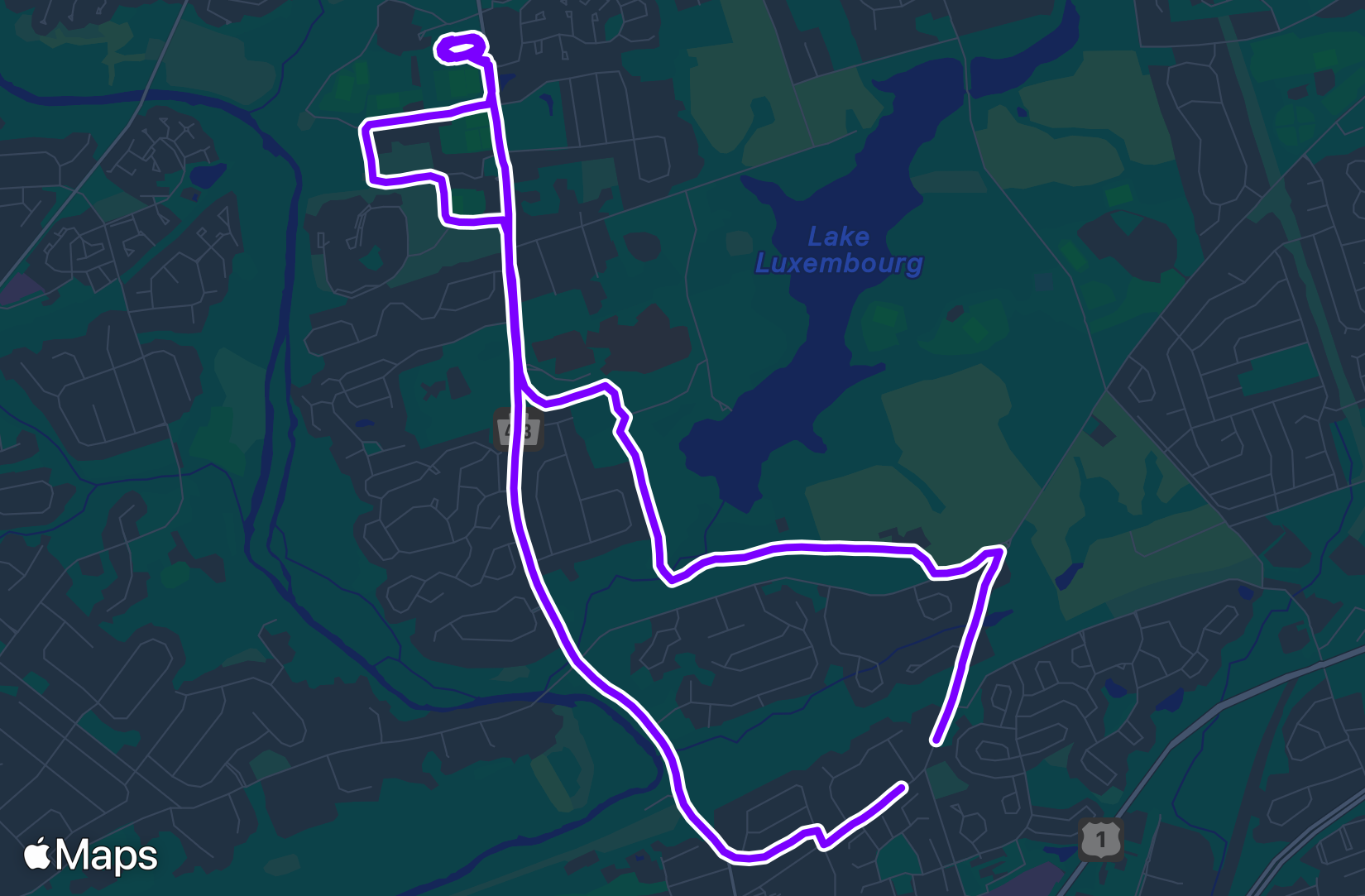 Run training