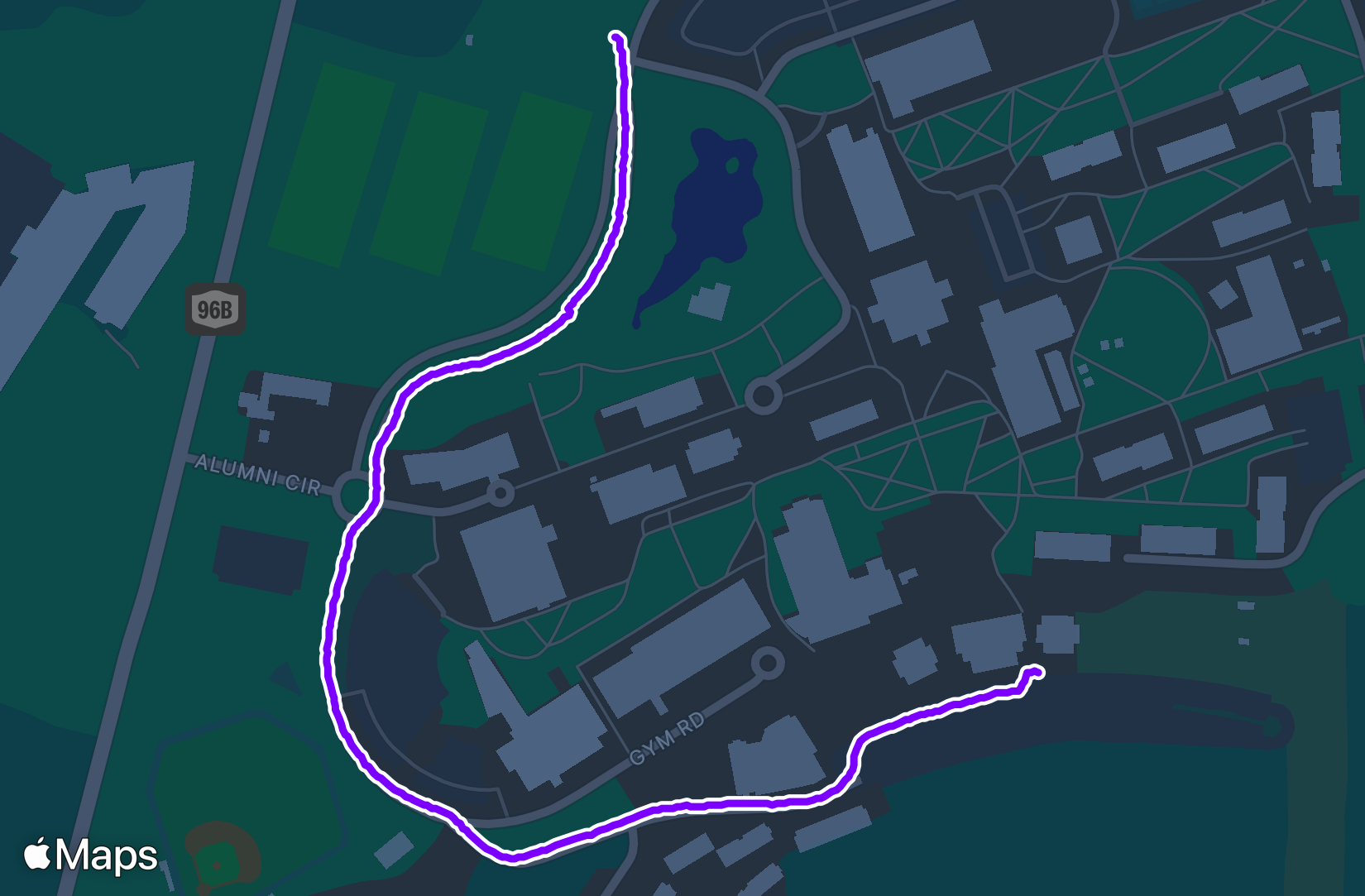 Run training