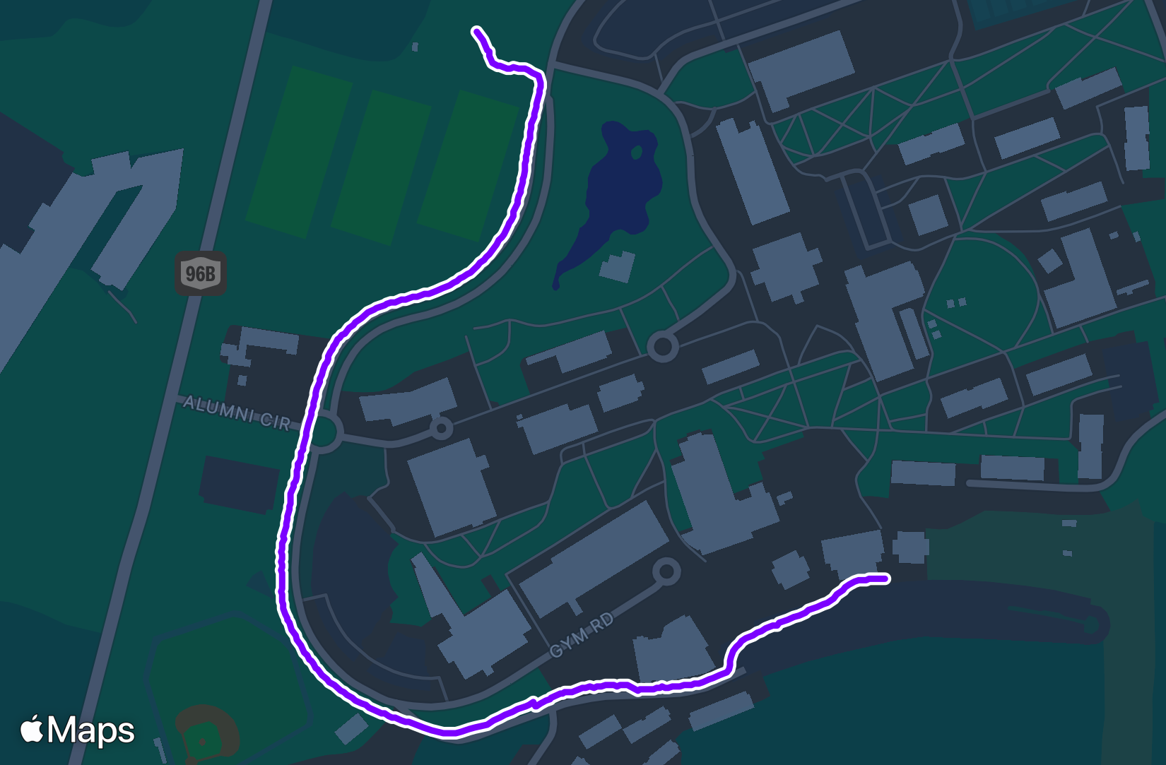 Run training