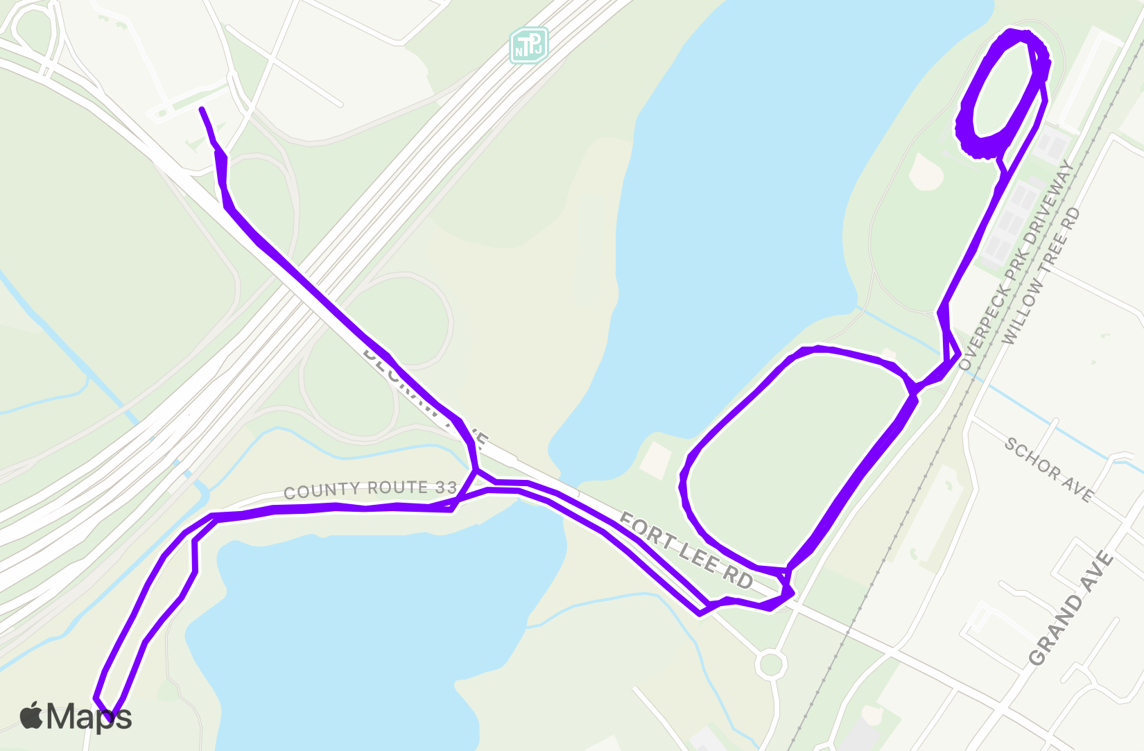 Run training